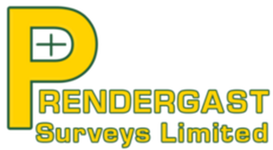 Prendergast Surveys Ltd Marketing Image